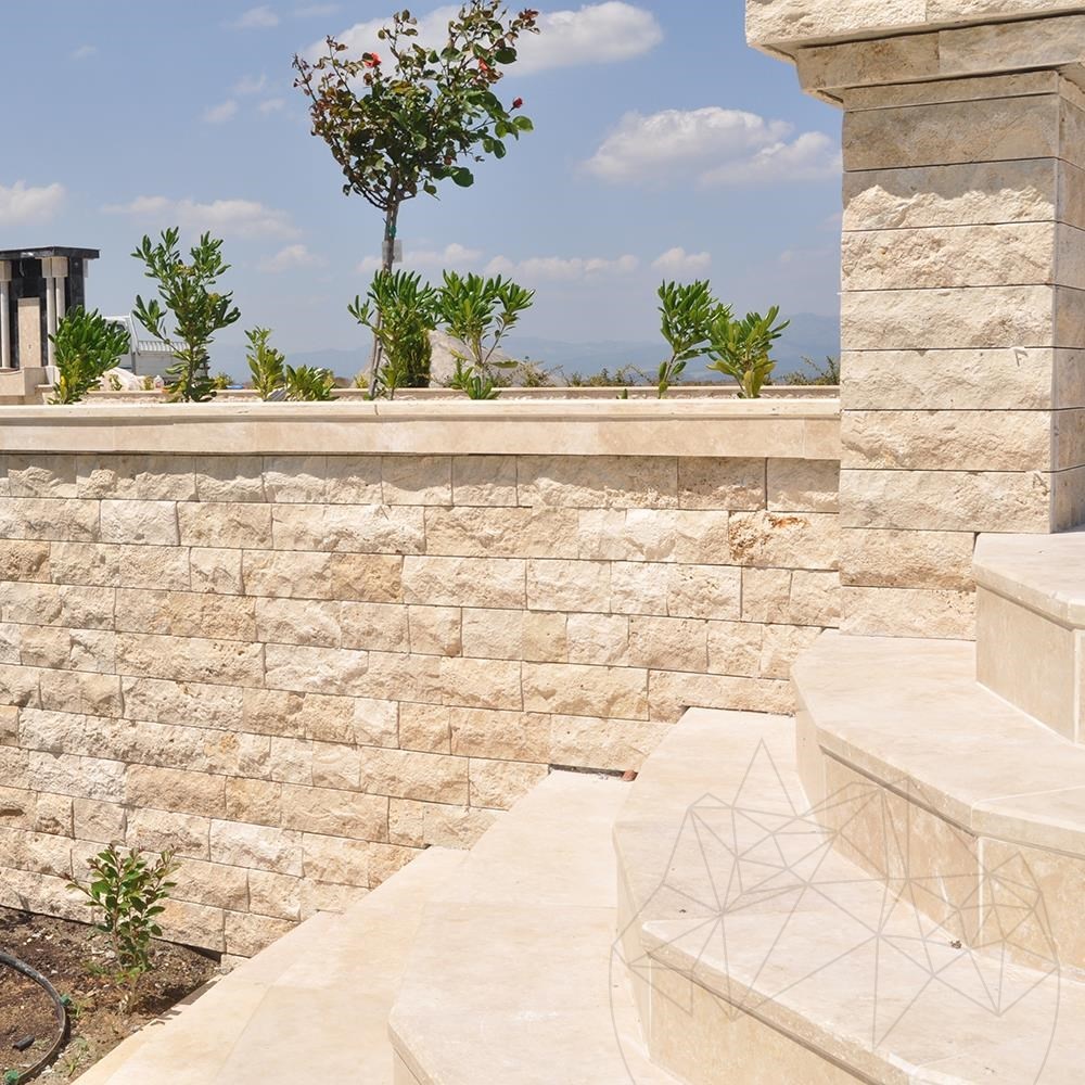 Despre Compania Noastră